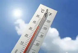 热传：莎拉波娃CBA下课的七位的简单介绍|鱼乐达人官网